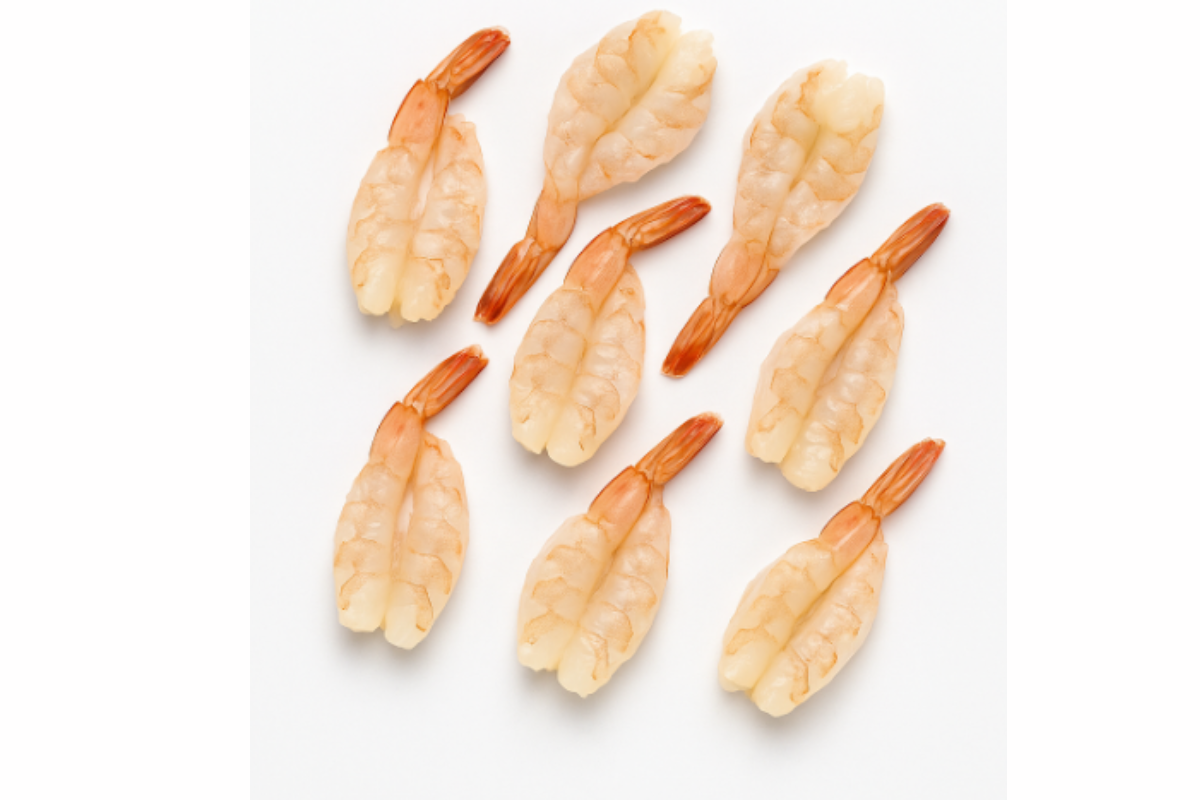 Shrimp on a white background