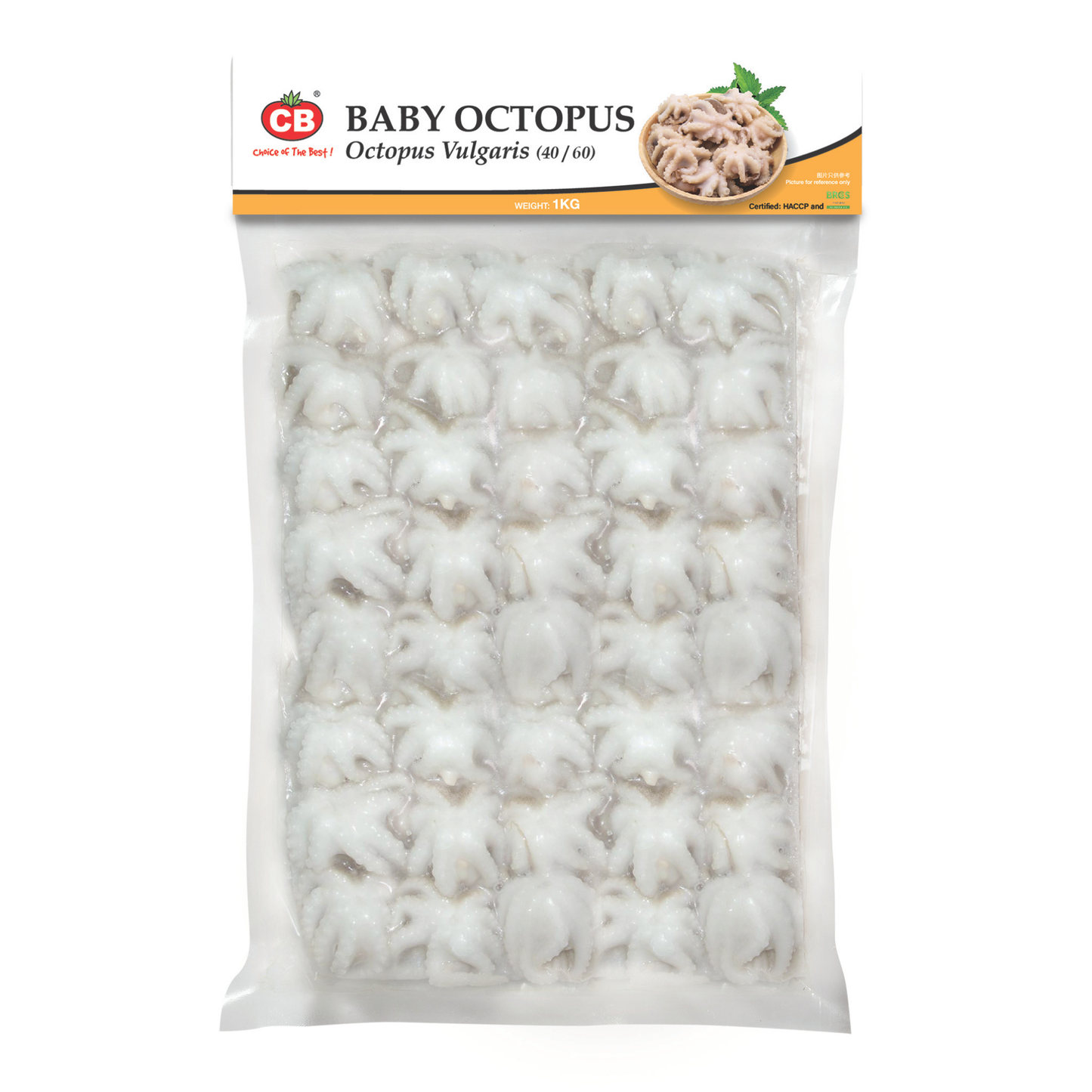 CB FRZ IQF BABY OCTOPUS 40/60 (1KG) - CB 迷你章鱼 40/60 (1公斤)