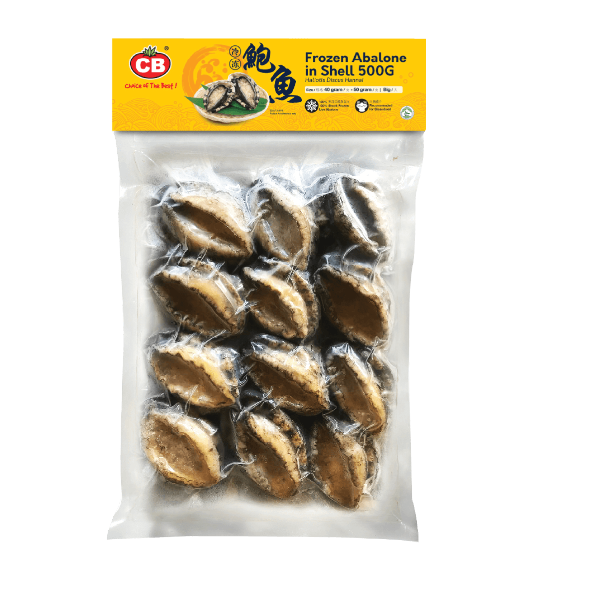 CB FROZEN ORIGINAL ECOLOGY ABALONE 25-30G (500G) (M) - CB速冻原生态九孔鲍鱼 25-30G (500克) (M)