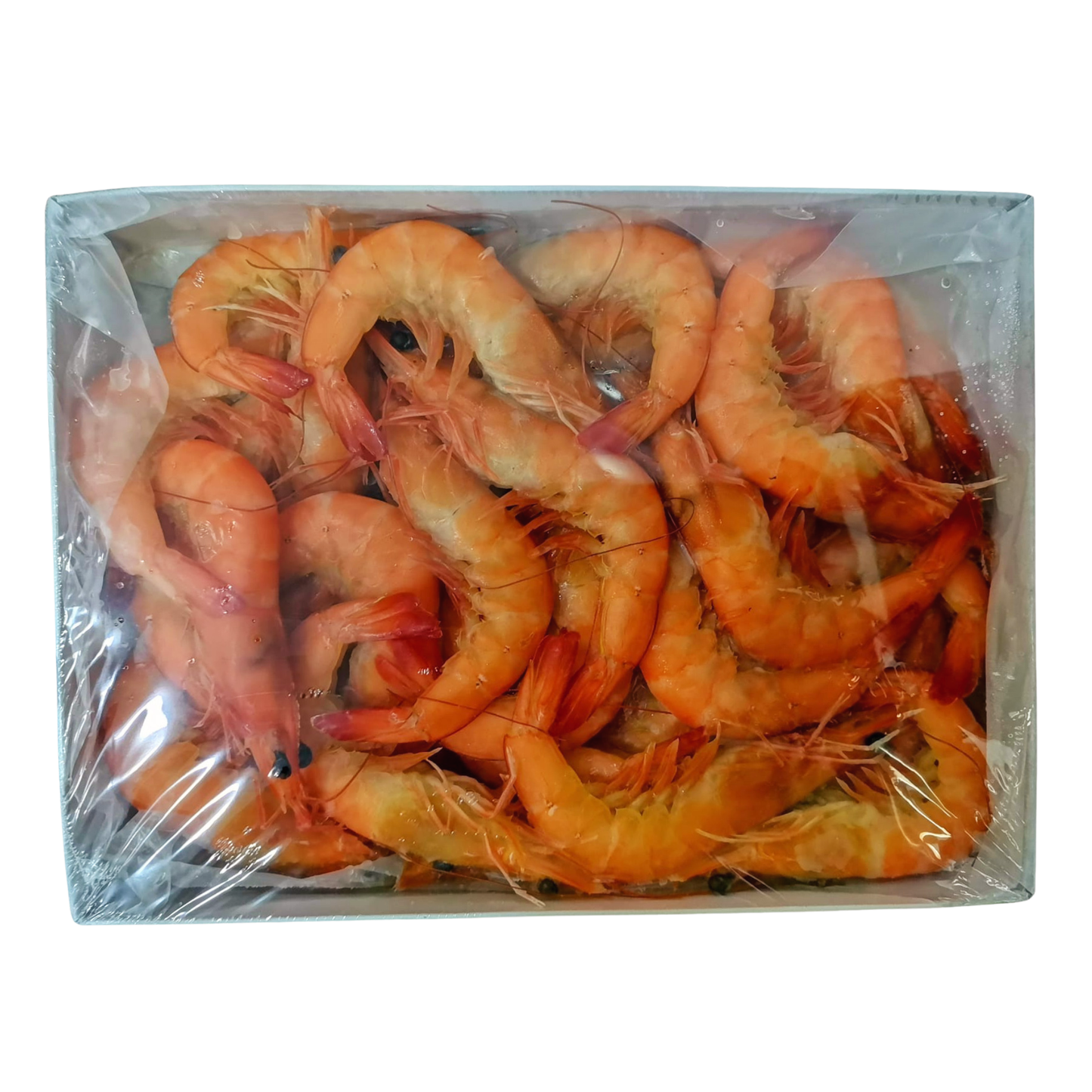 31/40 LIVE FRZ COOKED VANNAMEI PRAWN HOSO (1KG) - 31/40 活冻熟南美白虾 (1公斤)