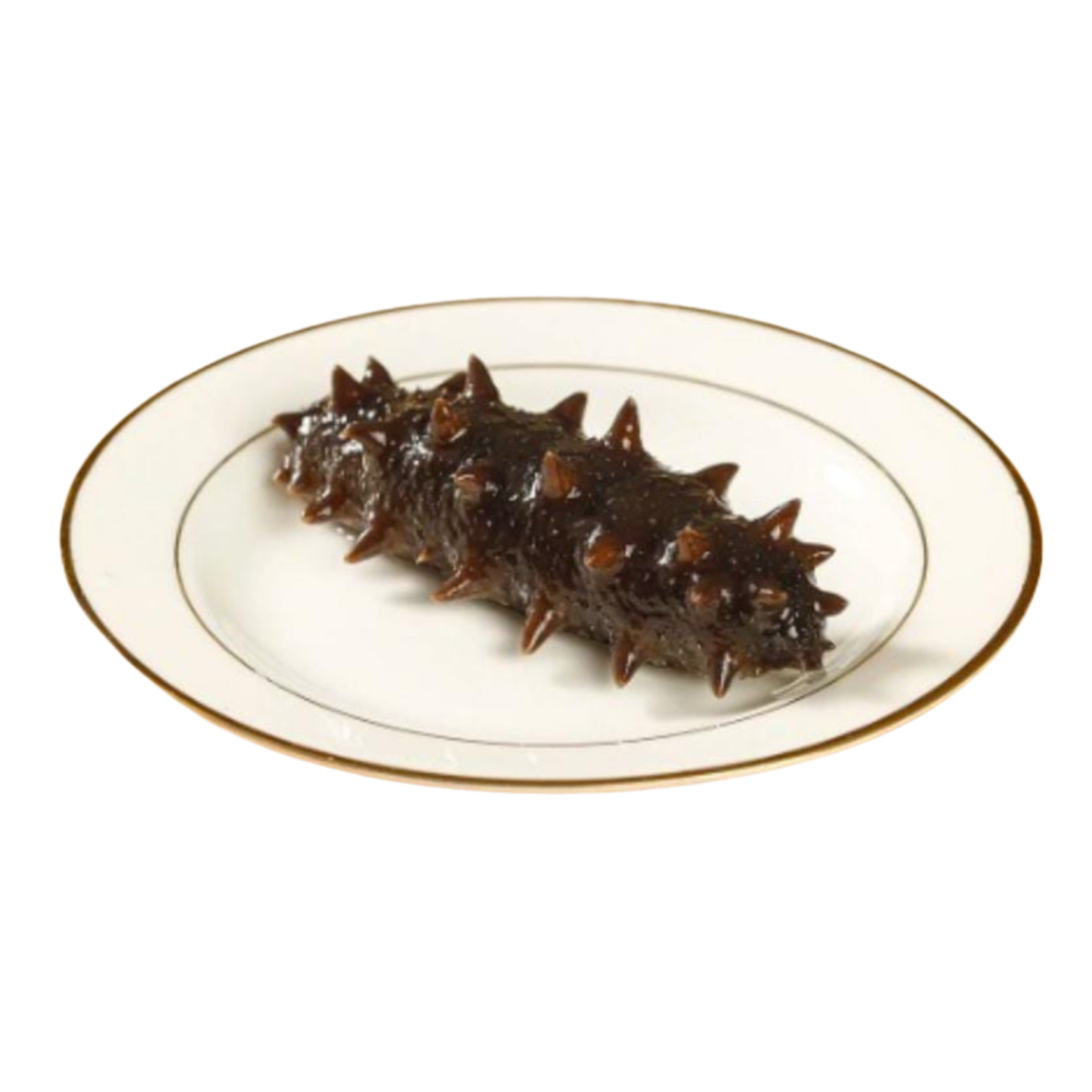 FROZEN GOLDEN SEA CUCUMBER (±75G/PC) - 速凍即食黄金海参 (±75克/条)