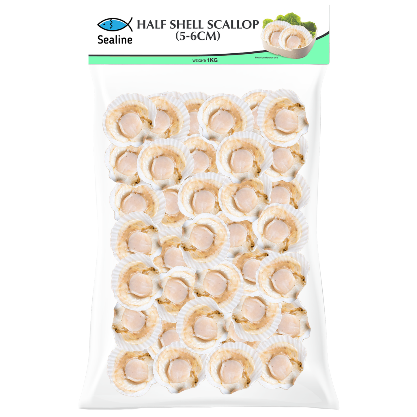 CB HALF SHELL SCALLOP 5/6 CM (1KG) - CB半壳虾夷贝 5/6 CM (1公斤)
