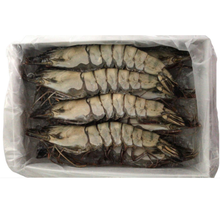 8/10 LIVE FROZEN BLACK TIGER PRAWN HOSO (1KG) - 8/10 活冻老虎虾 (1公斤)