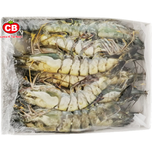 10/12 LIVE FROZEN BLACK TIGER PRAWN HOSO (1KG) - 10/12 活冻老虎虾 (1公斤)