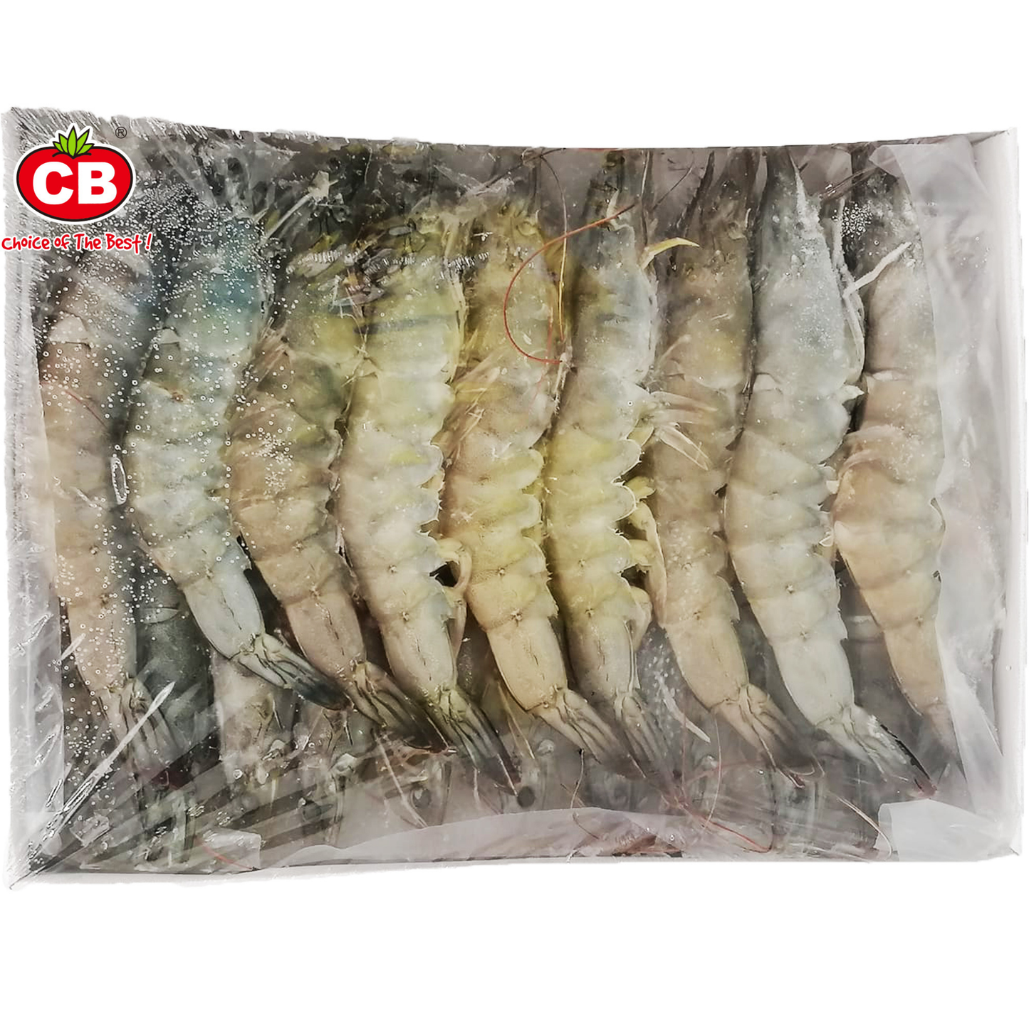 16/20 LIVE FROZEN VANNAMEI PRAWN HOSO (1KG) - 16/20 活冻南美白虾 (1公斤)