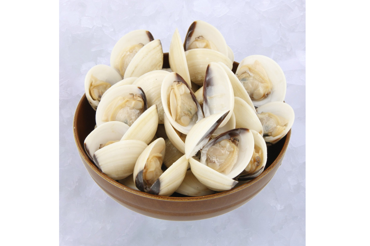 Bowl of white clams on a light gray background