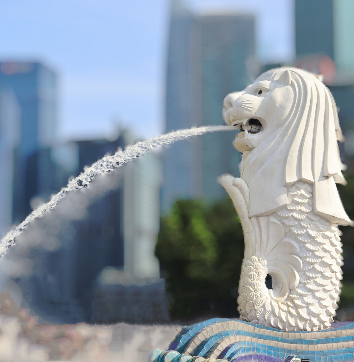 White merlion statue spouting water with modern skyscrapers in the background