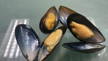 CHILE WHOLE SHELL BLACK MUSSELS 40/60 (1KG) - 智利全壳黑蚝 40/60 (1公斤)